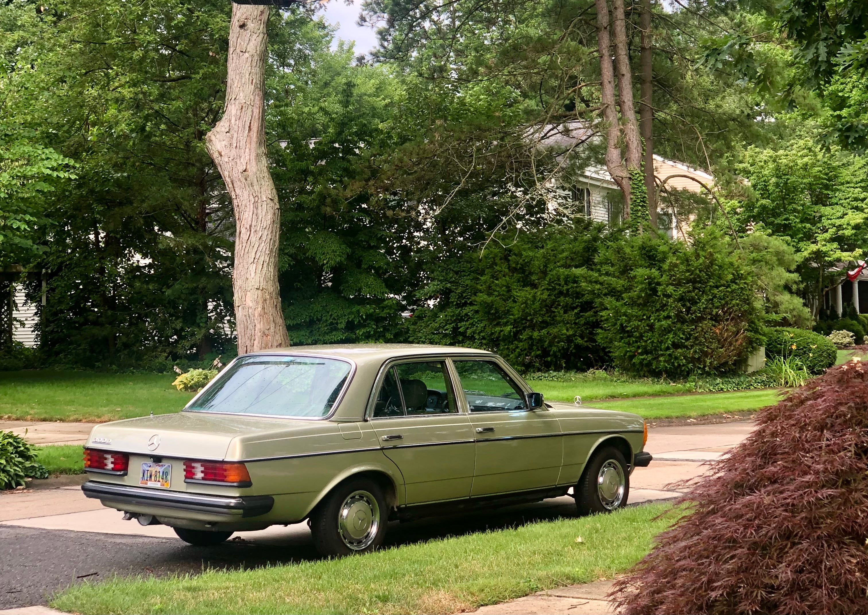 ‘81 Mercedes-Benz 300D 