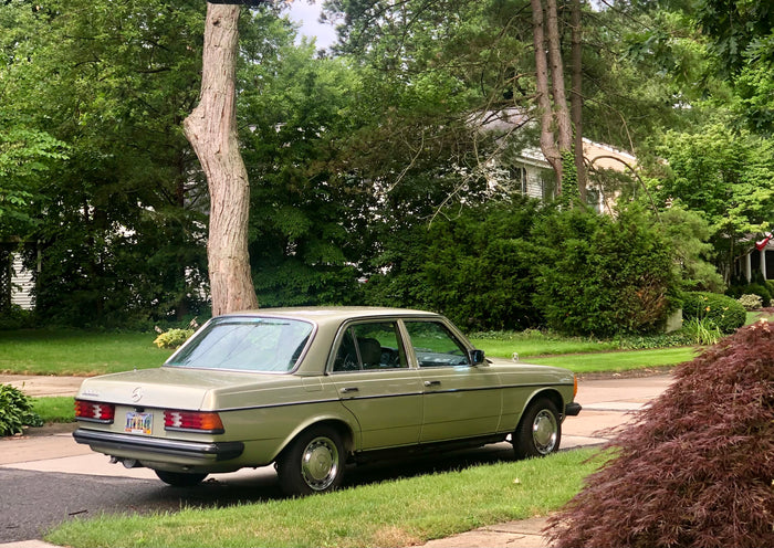1981 Mercedes-Benz 300D “Envy”
